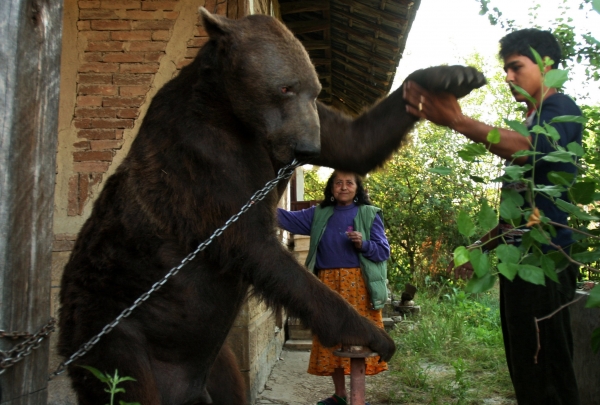 [thumb600_IMG_4697[1].jpg]